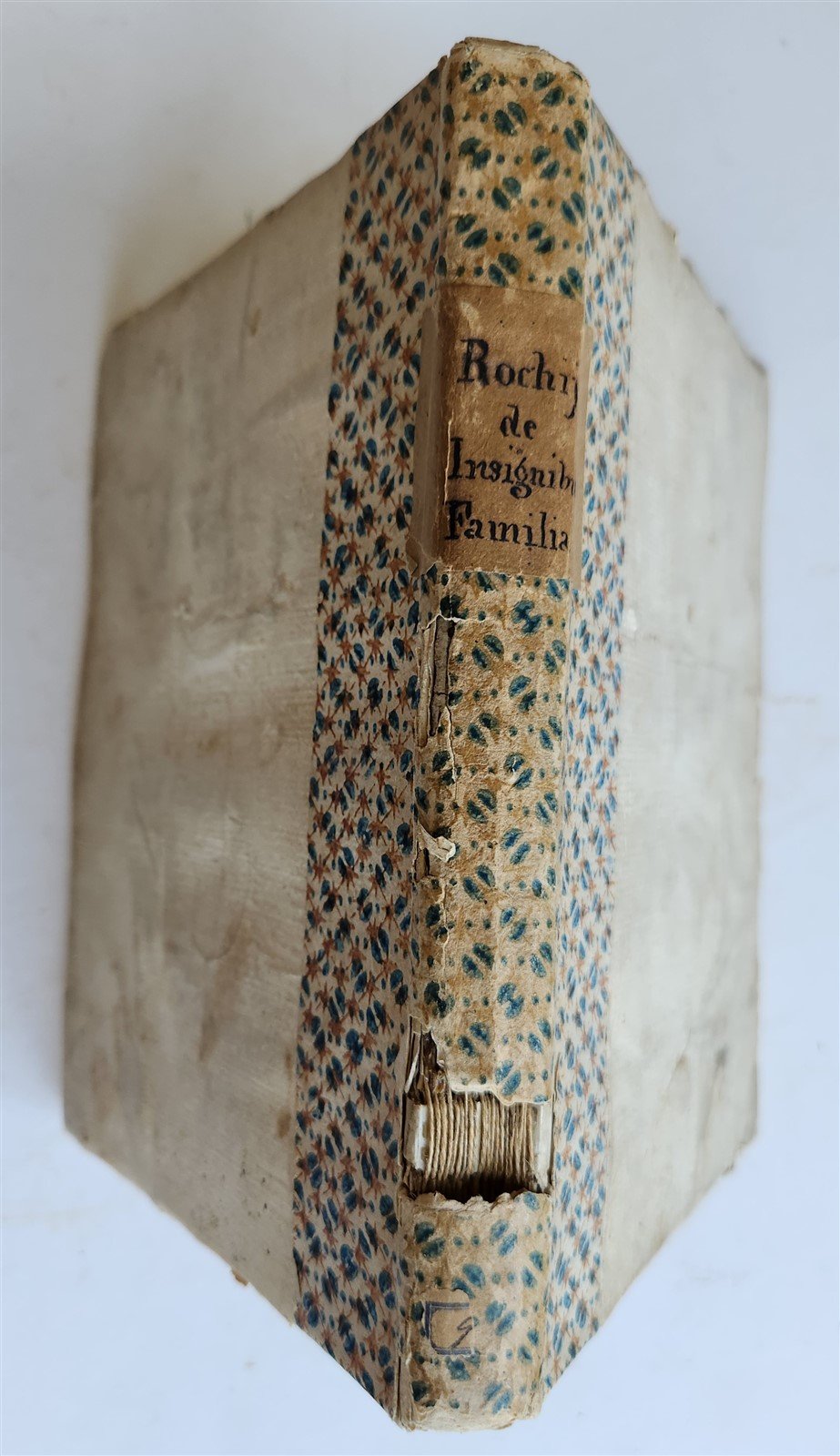 1576 POMPEO ROCCHI - COATS OF ARMS NOBILITY LAW antique De insignibus familiarum