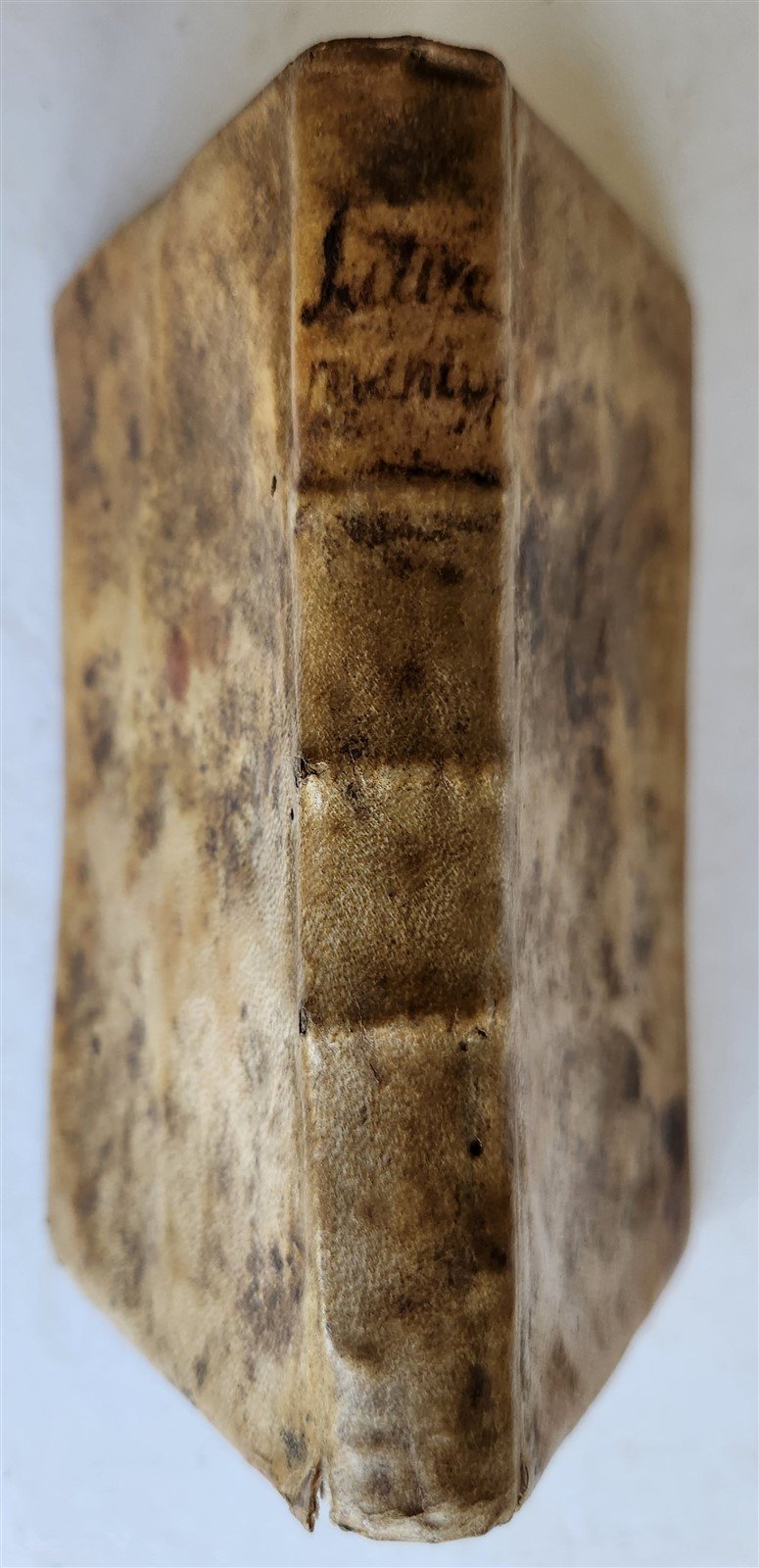 1595 SATYRE MENIPPEE ILLUSTRATED antique 16th CENTURY political & satirical work