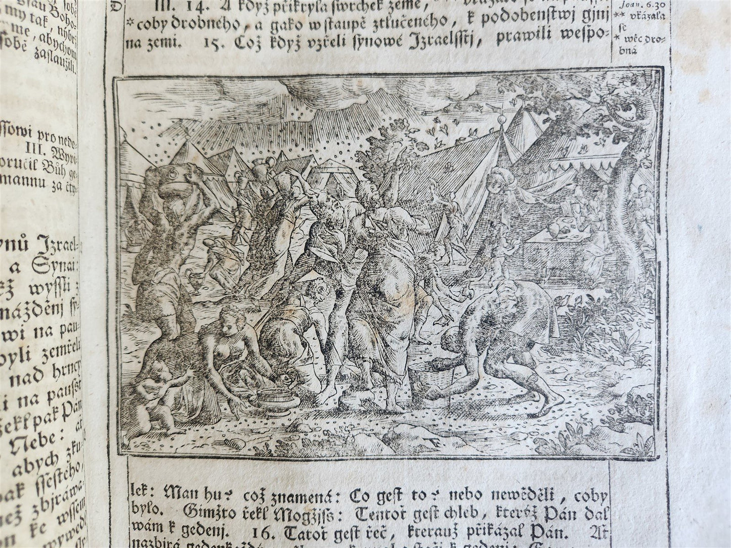 1769 BIBLE in CZECH ILLUSTRATED 2 FOLIO VOLUMES antique