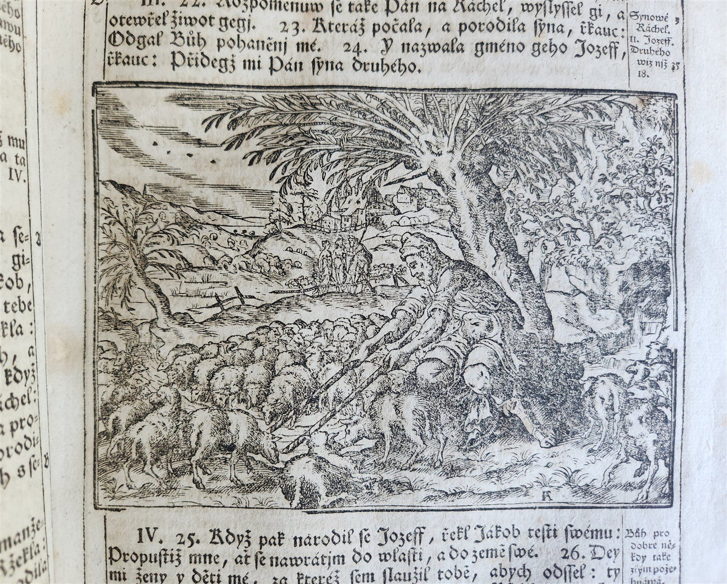 1769 BIBLE in CZECH ILLUSTRATED 2 FOLIO VOLUMES antique