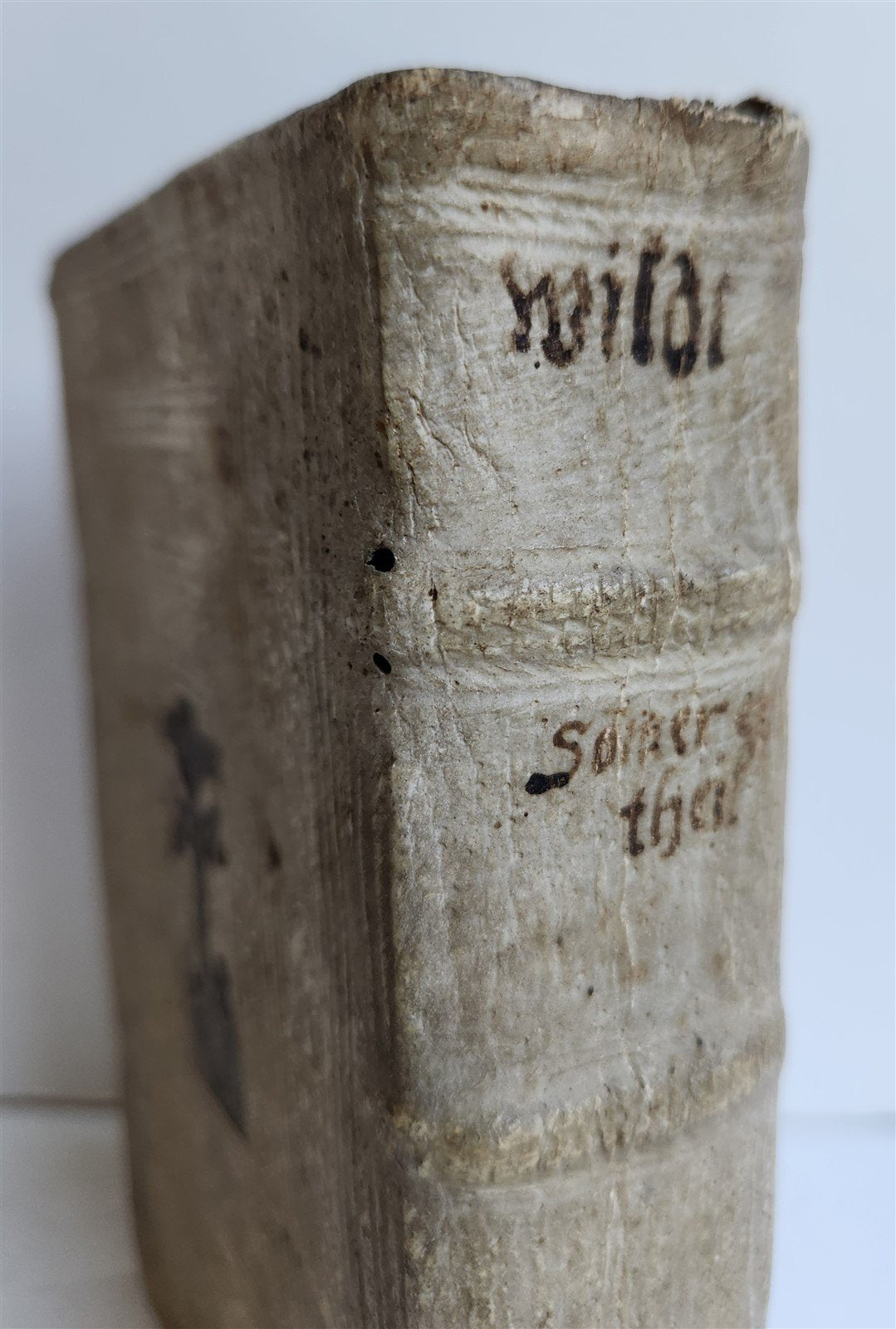 1572 SERMONS by Johann Wild in GERMAN antique PIGSKIN BINDING 16th CENTURY