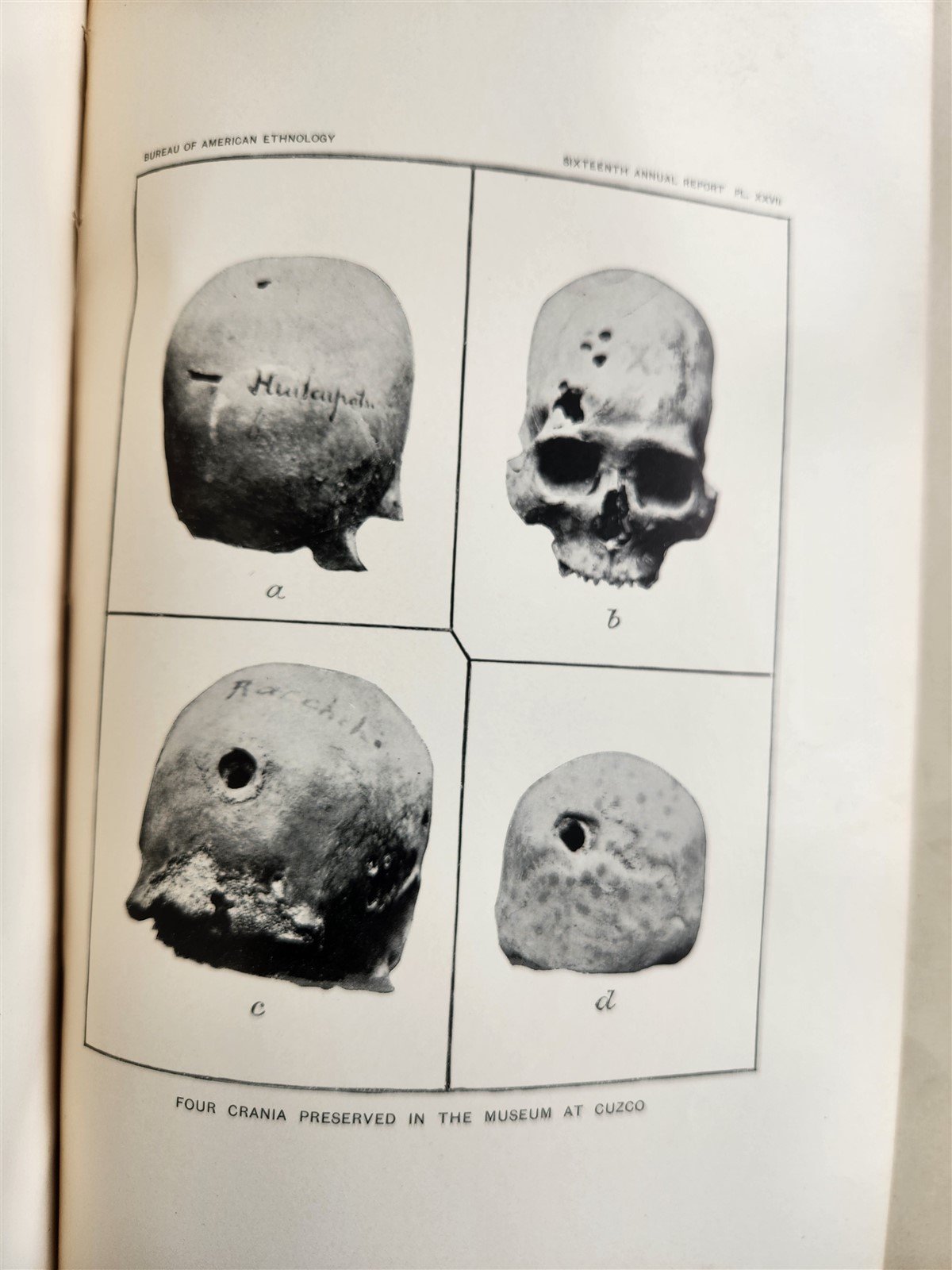 1894-95 AMERICAN ETHNOLOGY REPORT antique ILLUSTRATED