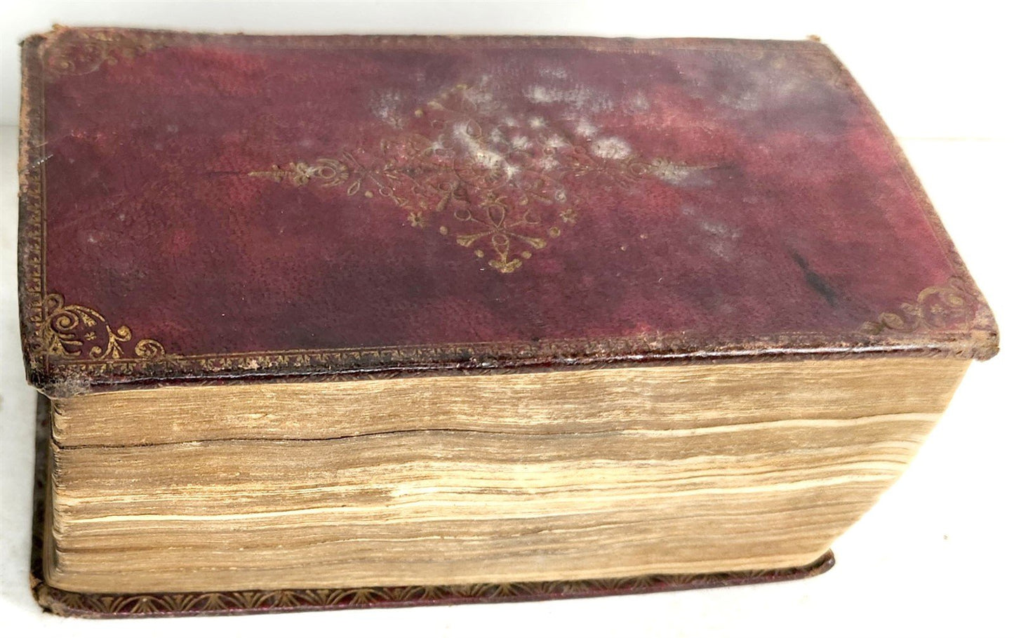1762 BIBLE in ENGLISH antique Oxford by Thomas Baskett press