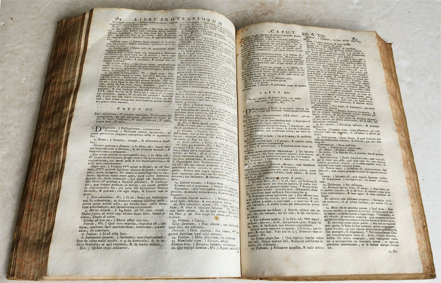 1743 BIBLE COMMENTARY Joannis Stephani Menochius in LATIN VELLUM FOLIO antique