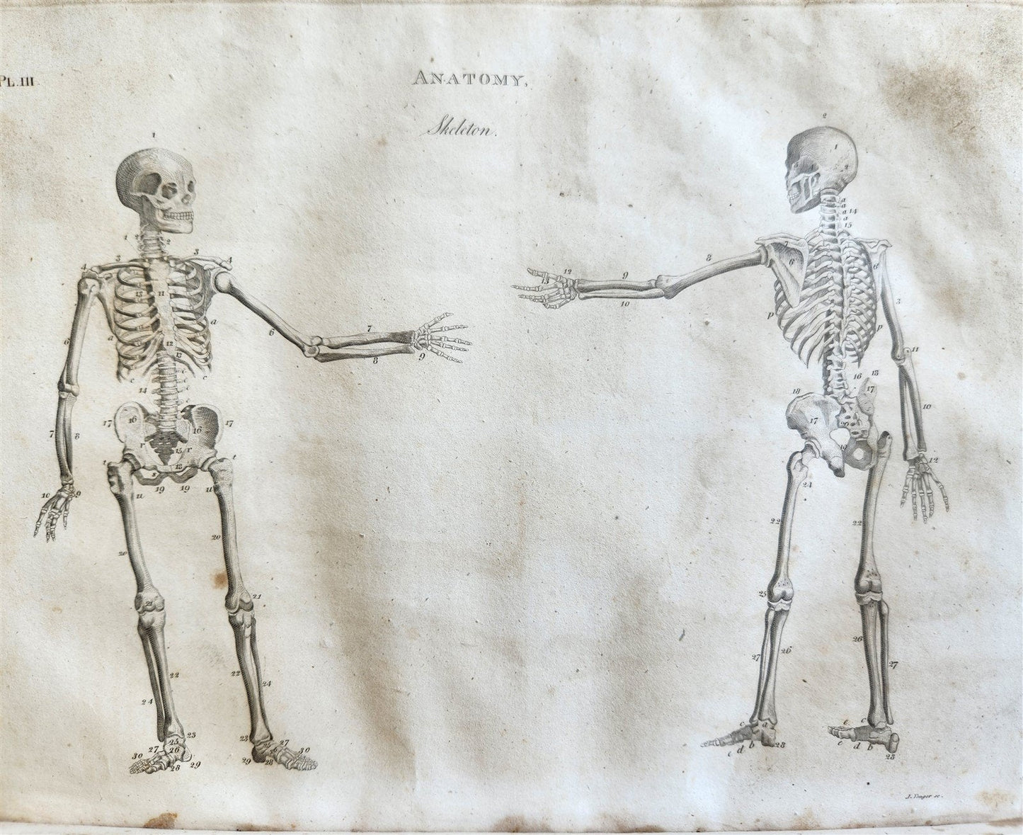 1822 NEW and COMPLETE DICTIONARY of ARTS and SCIENCES 3 VOLS. antique by GREGORY