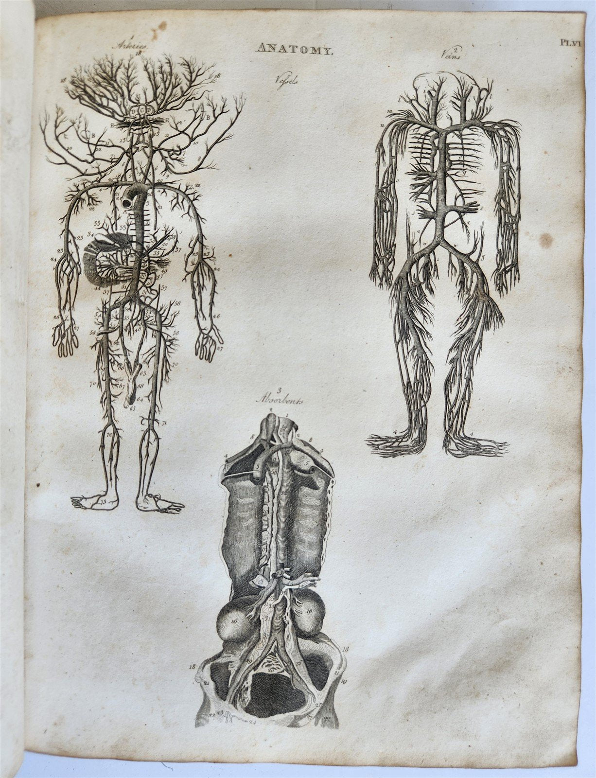 1822 NEW and COMPLETE DICTIONARY of ARTS and SCIENCES 3 VOLS. antique by GREGORY