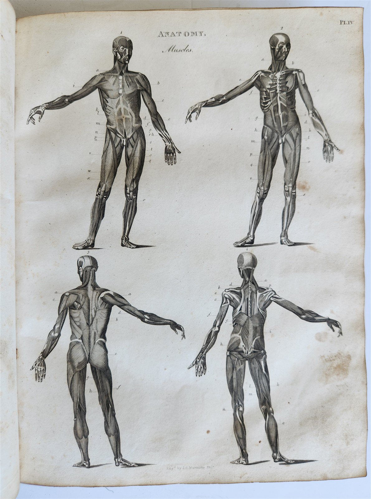 1822 NEW and COMPLETE DICTIONARY of ARTS and SCIENCES 3 VOLS. antique by GREGORY