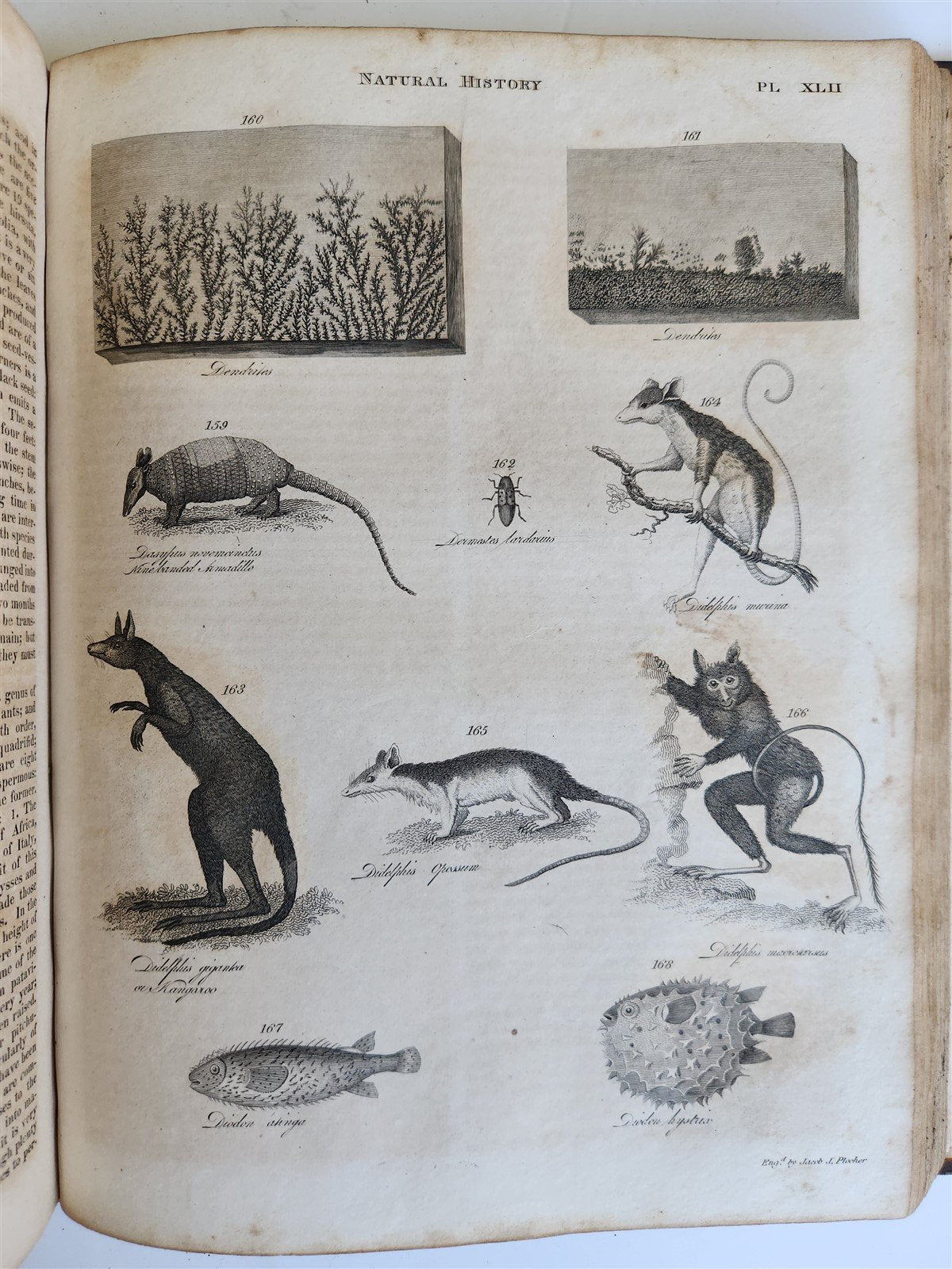 1822 NEW and COMPLETE DICTIONARY of ARTS and SCIENCES 3 VOLS. antique by GREGORY