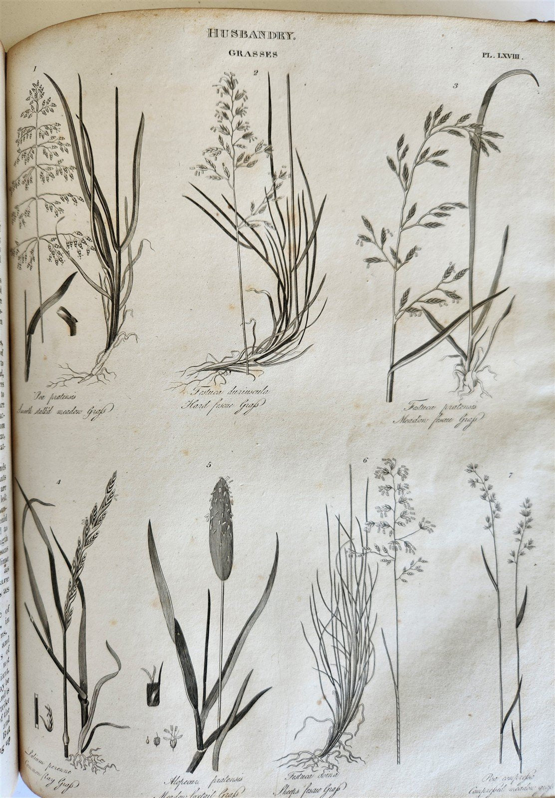 1822 NEW and COMPLETE DICTIONARY of ARTS and SCIENCES 3 VOLS. antique by GREGORY