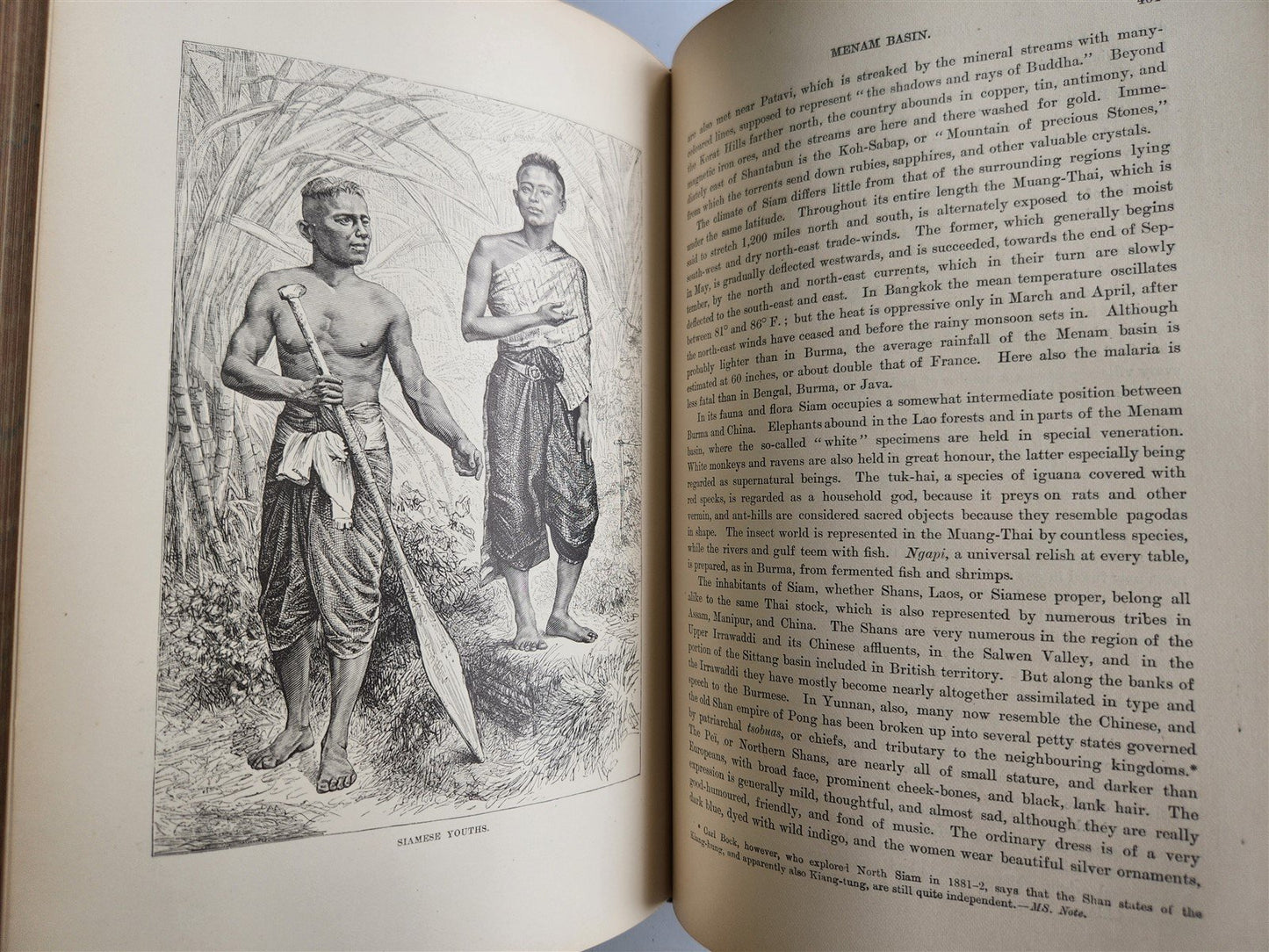 1884-85 EARTH & ITS INHABITANTS ASIA 4 ILLUSTRATED VOLUMES antique