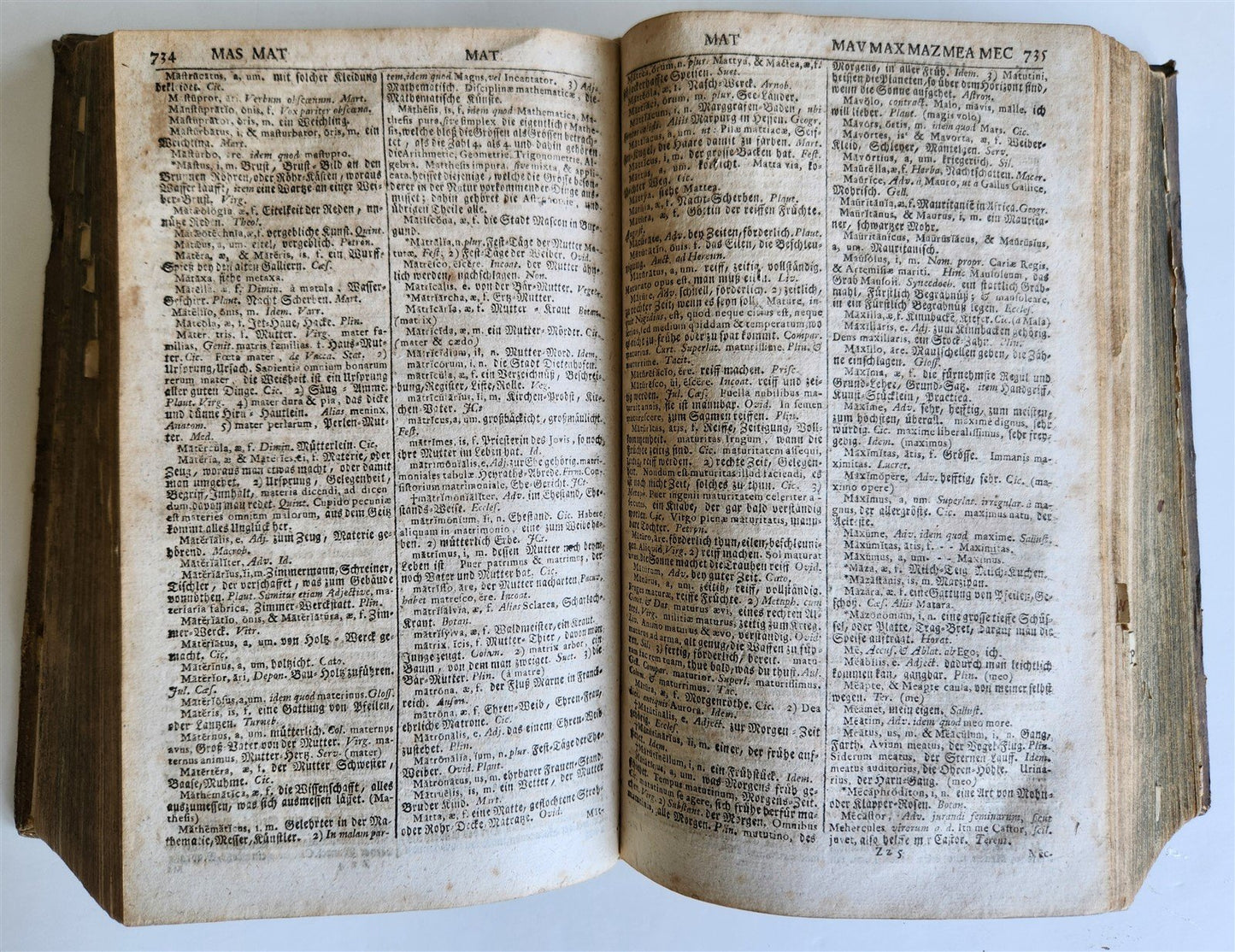 1741 LATIN GERMAN DICTIONARY incl. ANCIENT & MEDIEVAL antique PIGSKIN BINDING