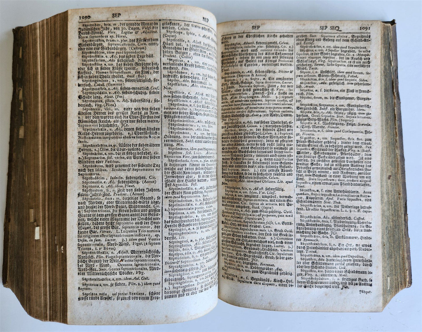 1741 LATIN GERMAN DICTIONARY incl. ANCIENT & MEDIEVAL antique PIGSKIN BINDING