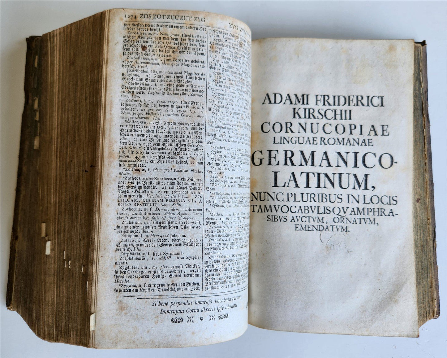 1741 LATIN GERMAN DICTIONARY incl. ANCIENT & MEDIEVAL antique PIGSKIN BINDING