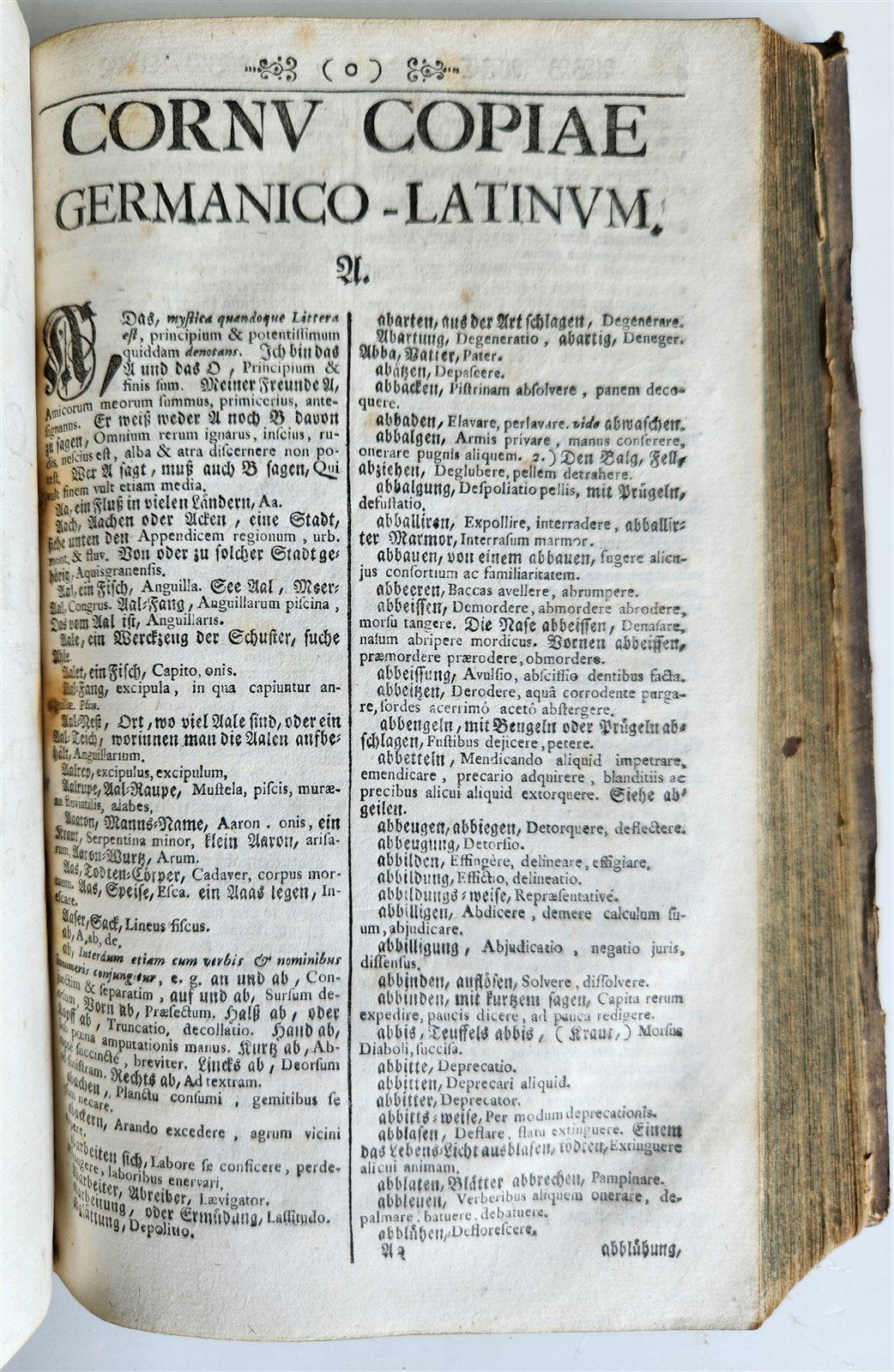 1741 LATIN GERMAN DICTIONARY incl. ANCIENT & MEDIEVAL antique PIGSKIN BINDING