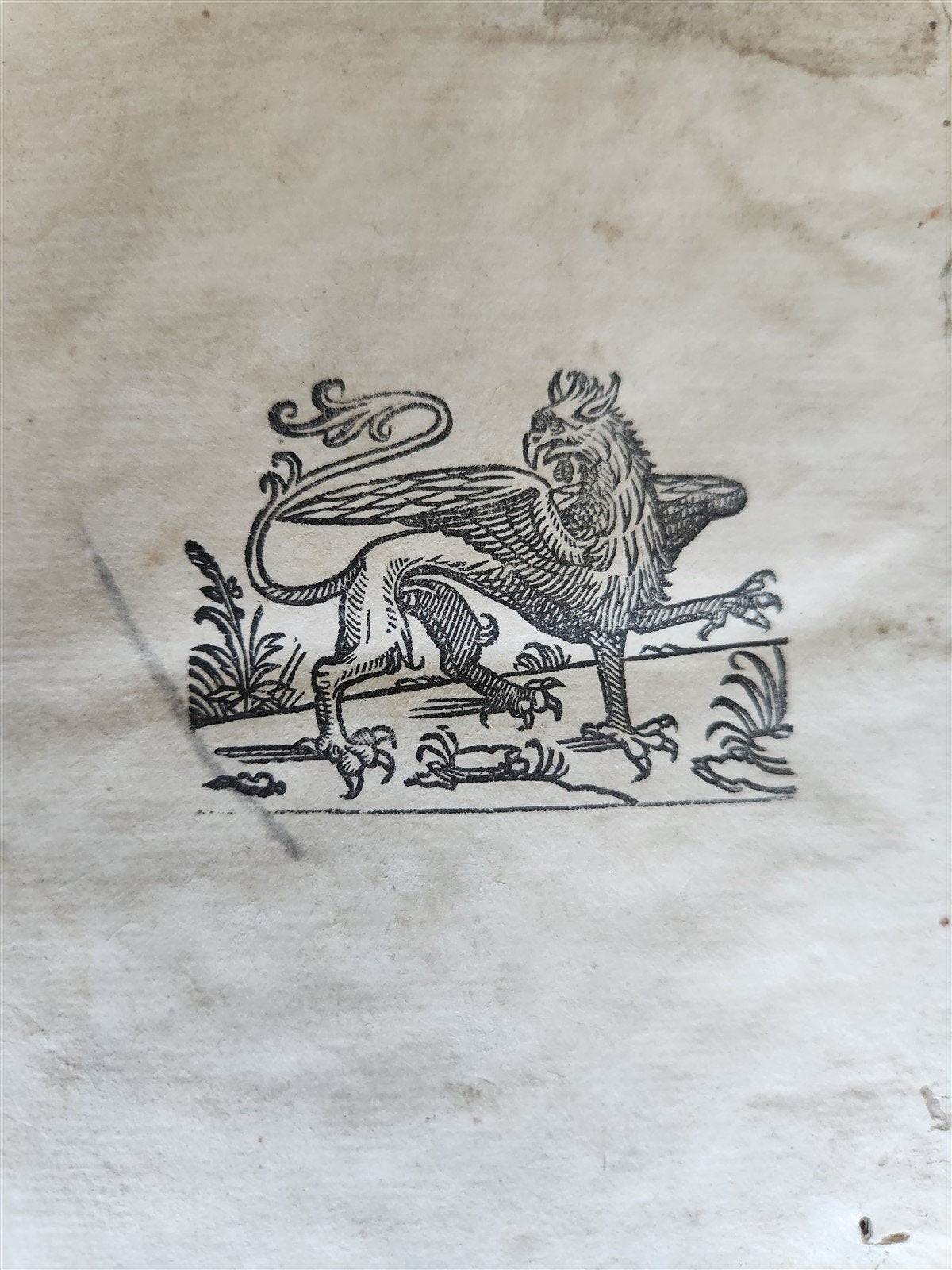 1546 ATTIC NIGHTS by Gellius Aulus Noctes Atticae antique