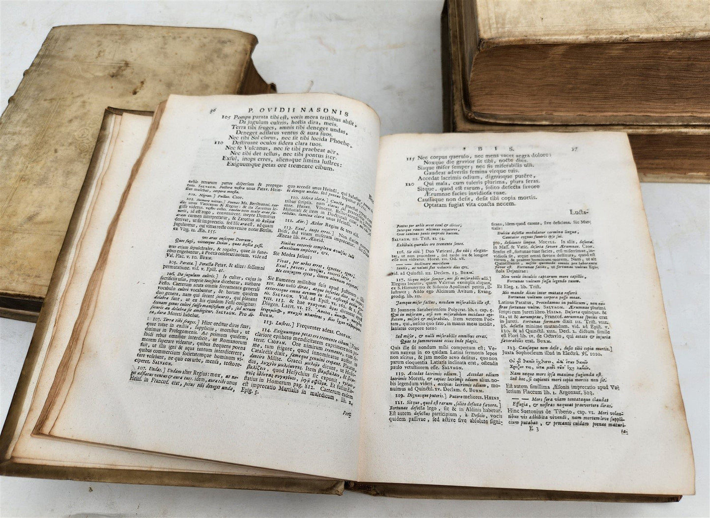 1727 OVID 4 VELLUM BOUND VOLUMES antique Publius Ovidius Naso