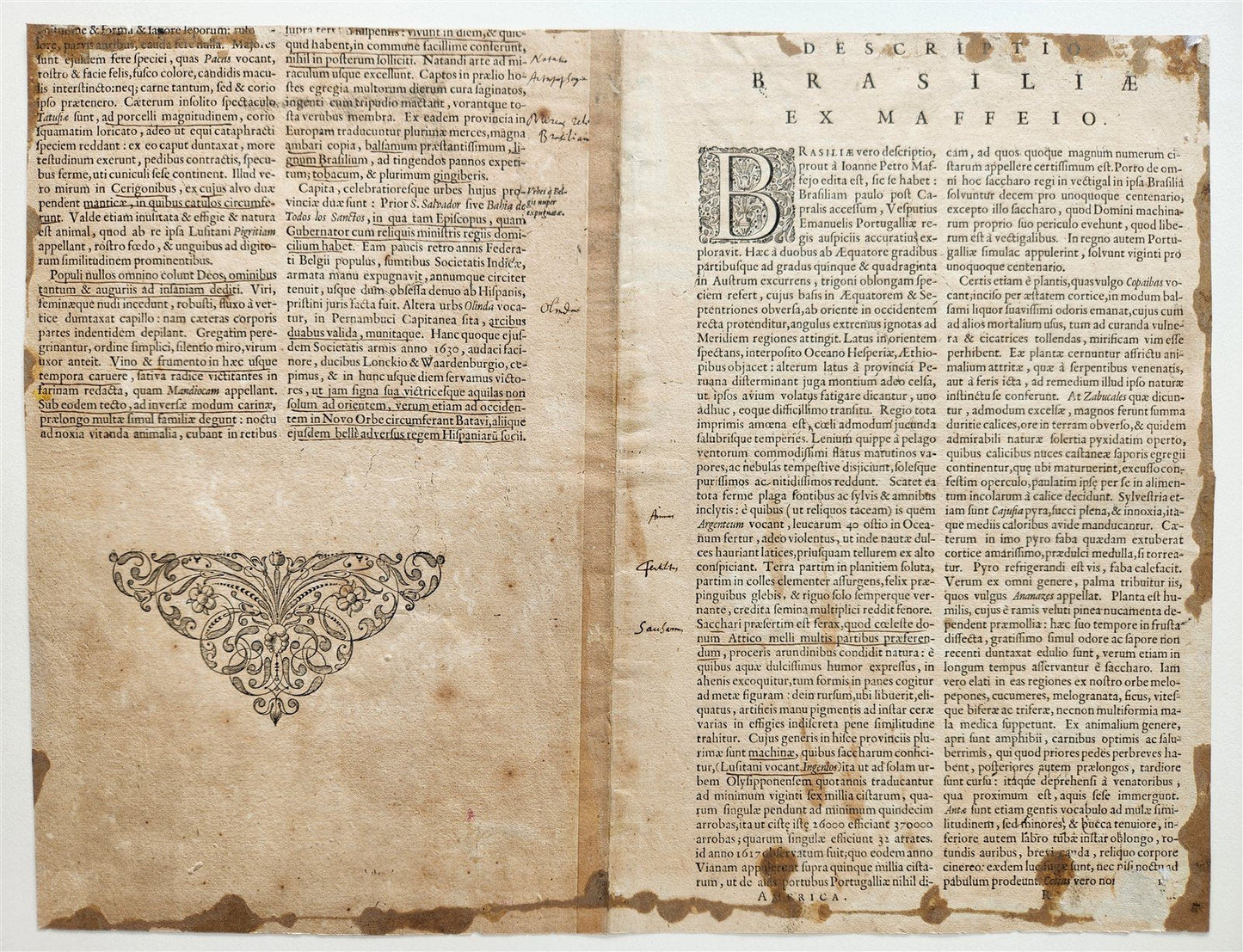 1644 ETHIPOA AFRICA antique MAP Novus Brasiliae Typus