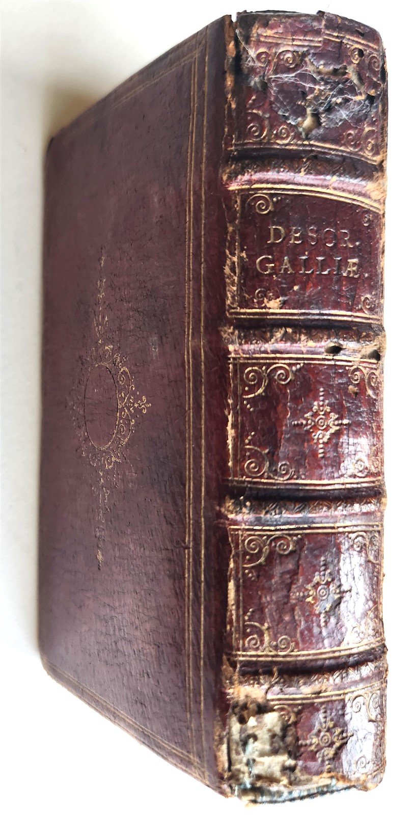 1629 SIVE FRANCORUM REGIS antique FRENCH HISTORY ELZEVIER France FINE BINDING