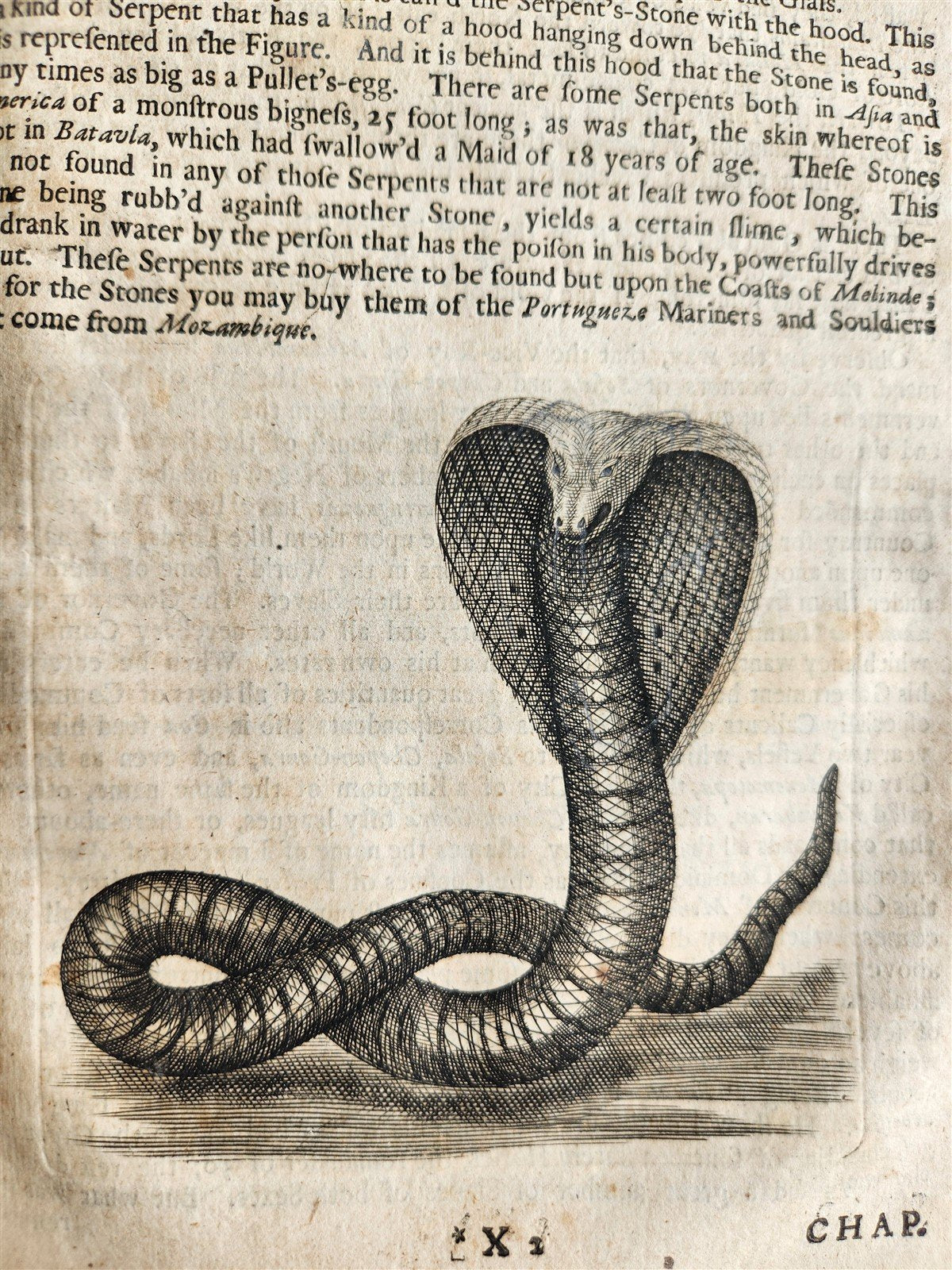 1677 SIX VOYAGES OF JOHN BAPTISTA TAVERNIER antique FOLIO ILLUSTRATED