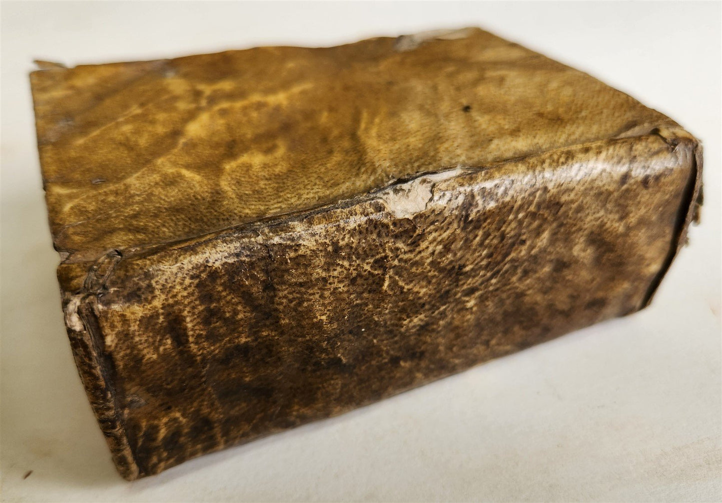 1640 BIBLE in FRENCH RARE ILLUSTRATED LE NOUVEAU TESTAMENT antique VELLUM BOUND
