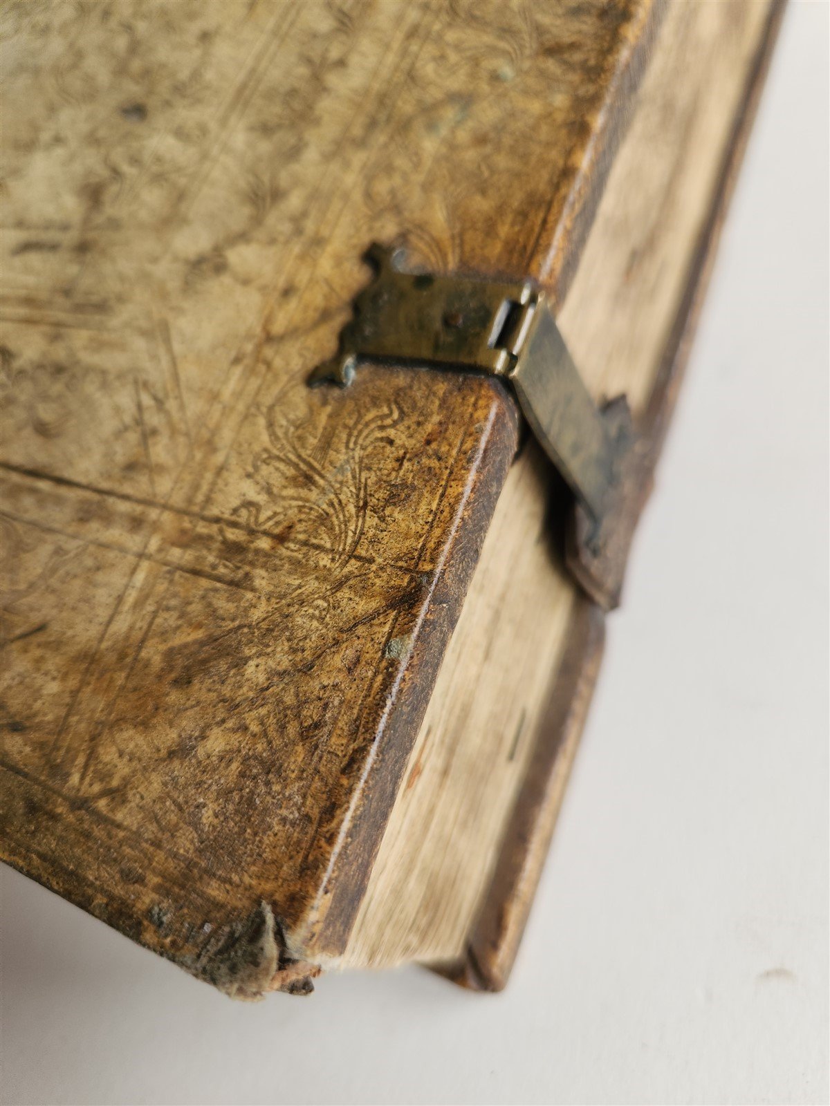 1506 BIBLE in LATIN POST-INCUNABULA antique FOLIO ORIGINAL PIGSKIN BINDING