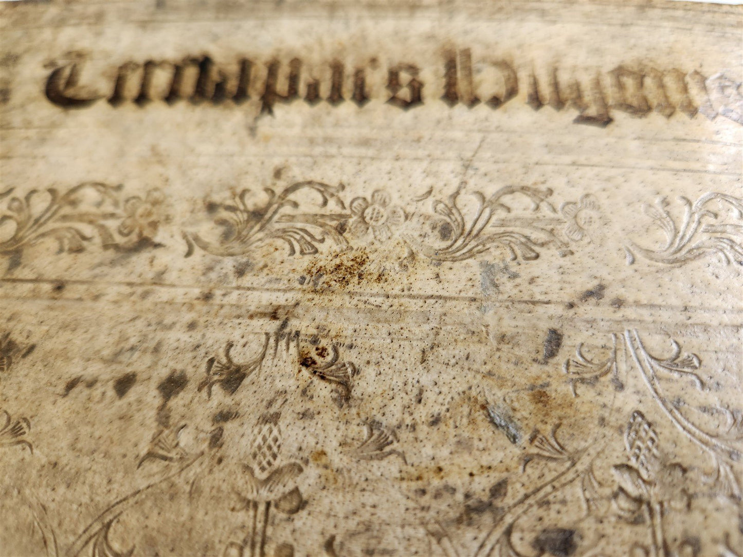 1506 BIBLE in LATIN POST-INCUNABULA antique FOLIO ORIGINAL PIGSKIN BINDING