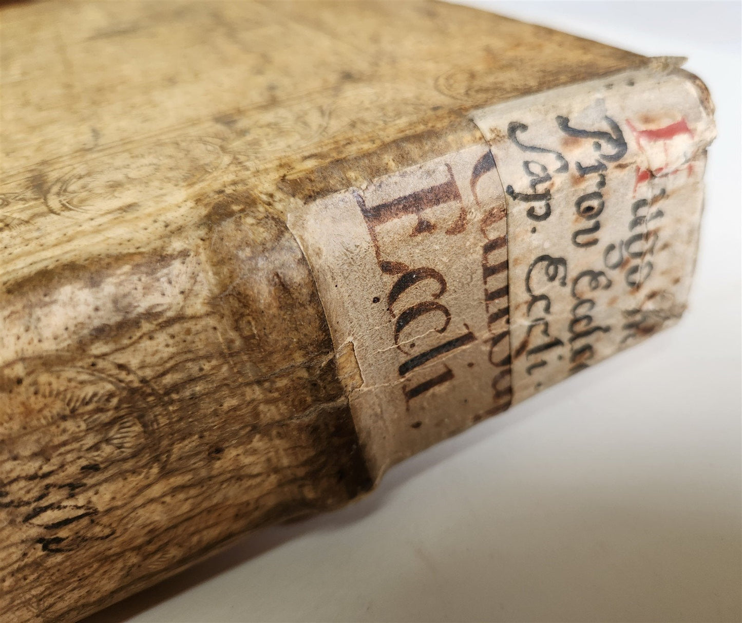 1506 BIBLE in LATIN POST-INCUNABULA antique FOLIO ORIGINAL PIGSKIN BINDING