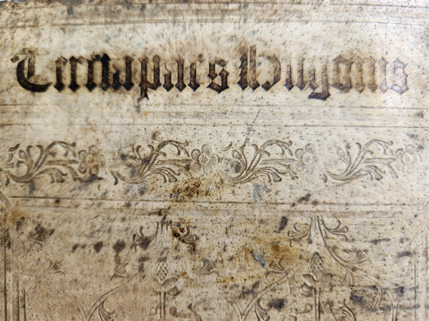 1506 BIBLE in LATIN POST-INCUNABULA antique FOLIO ORIGINAL PIGSKIN BINDING