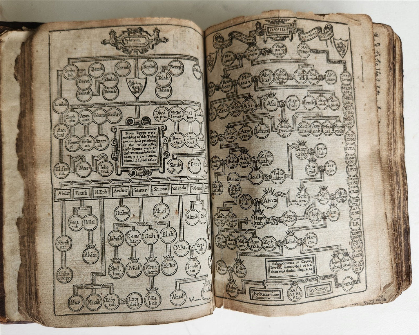 1636 BIBLE in ENGLISH OLD & NEW TESTAMENT antique ORIGINAL BINDING illustrated