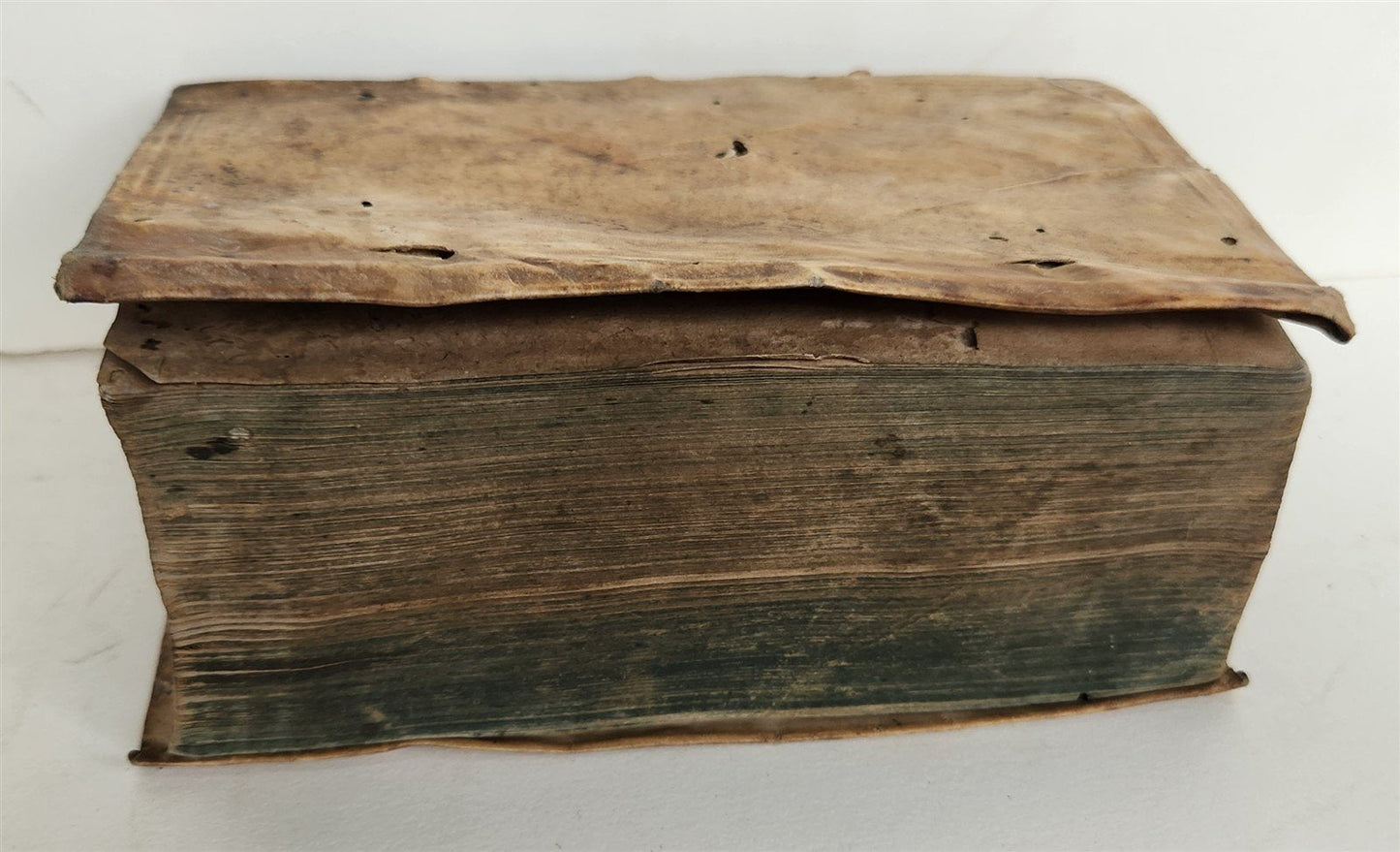 1606 De civili conversatione dissertationes Politicae antique VELLUM S. Gauzzi