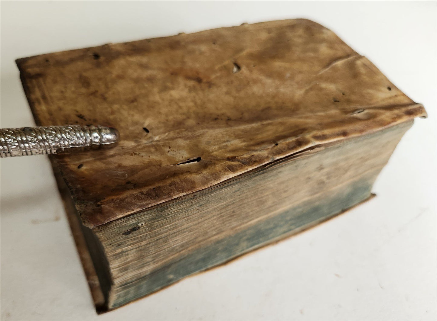 1606 De civili conversatione dissertationes Politicae antique VELLUM S. Gauzzi