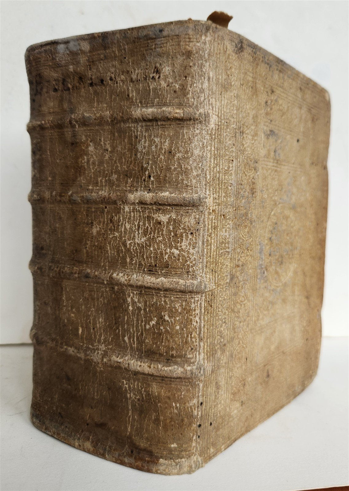 1600 BIBLE in LATIN ILLUSTRATED BIBLIA LATINA antique PIGSKIN BINDING 16th cent.