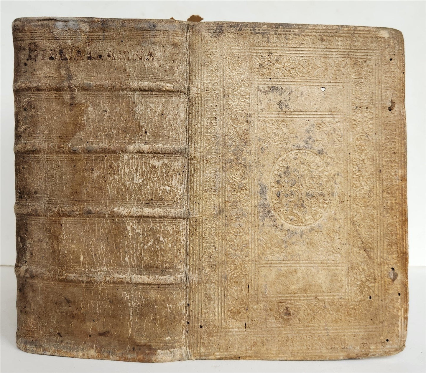 1600 BIBLE in LATIN ILLUSTRATED BIBLIA LATINA antique PIGSKIN BINDING 16th cent.