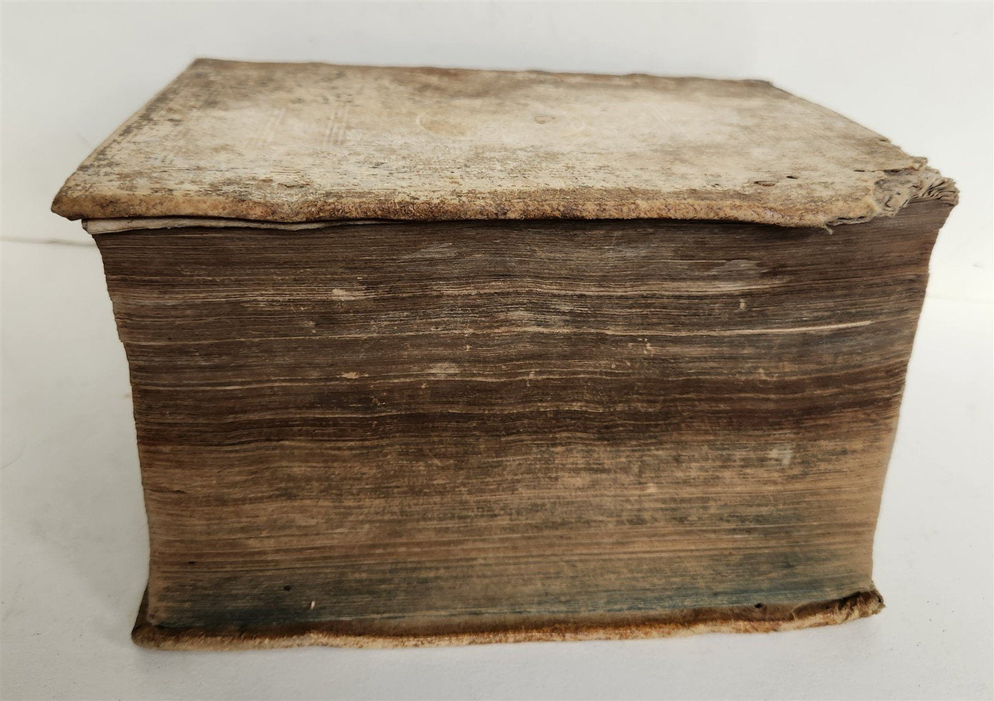 1600 BIBLE in LATIN ILLUSTRATED BIBLIA LATINA antique PIGSKIN BINDING 16th cent.