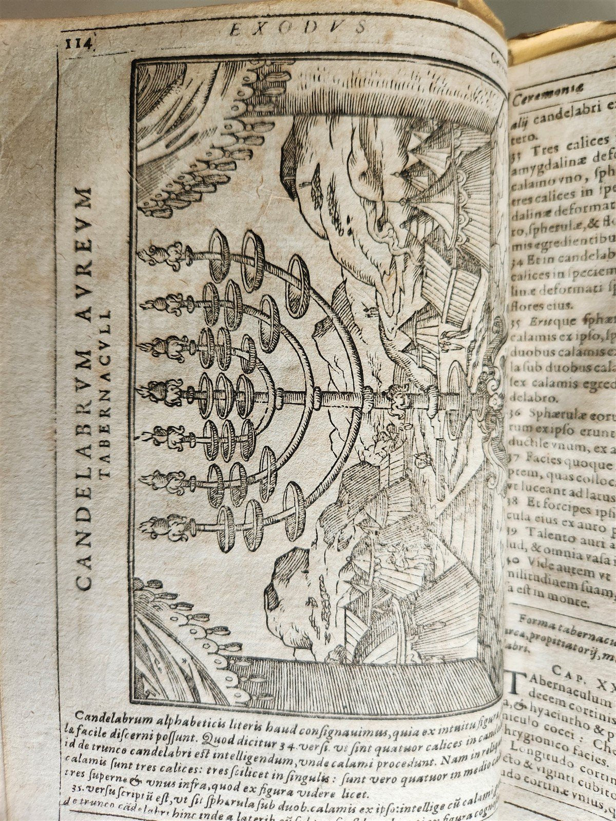 1600 BIBLE in LATIN ILLUSTRATED BIBLIA LATINA antique PIGSKIN BINDING 16th cent.