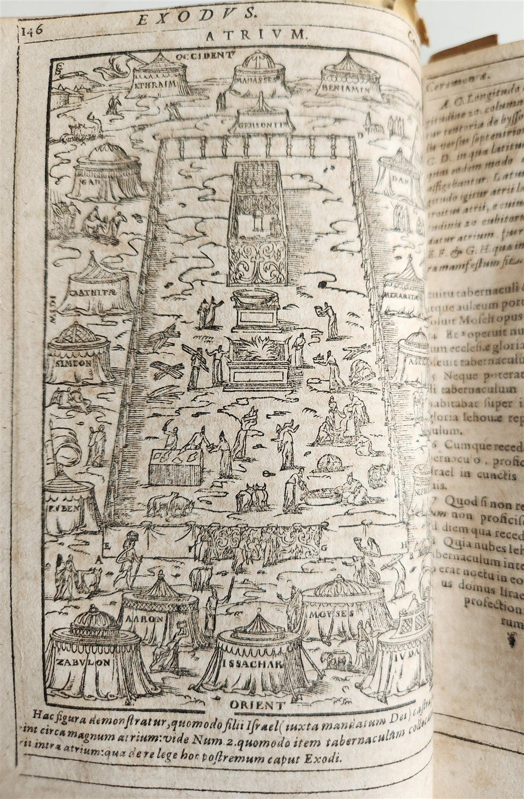 1600 BIBLE in LATIN ILLUSTRATED BIBLIA LATINA antique PIGSKIN BINDING 16th cent.