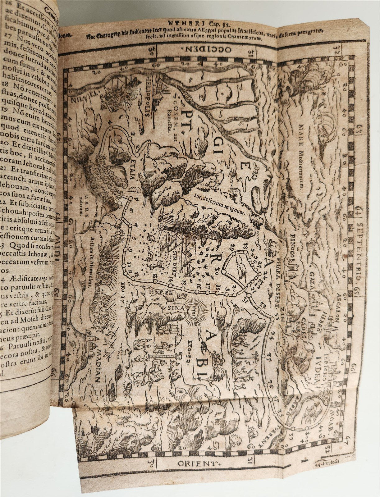1600 BIBLE in LATIN ILLUSTRATED BIBLIA LATINA antique PIGSKIN BINDING 16th cent.