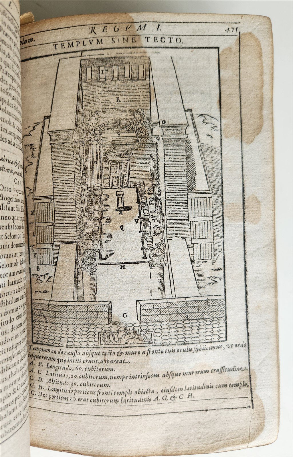 1600 BIBLE in LATIN ILLUSTRATED BIBLIA LATINA antique PIGSKIN BINDING 16th cent.