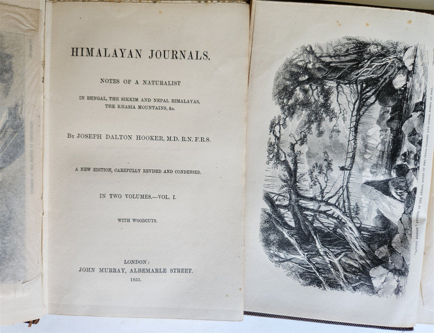 1855 HIMALAYAN JOURNALS by Joseph Hooker 2 VOLUMES antique ILLUSTRATED