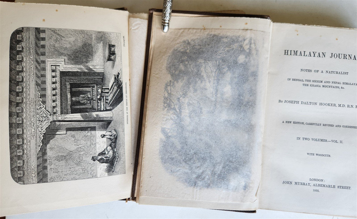 1855 HIMALAYAN JOURNALS by Joseph Hooker 2 VOLUMES antique ILLUSTRATED