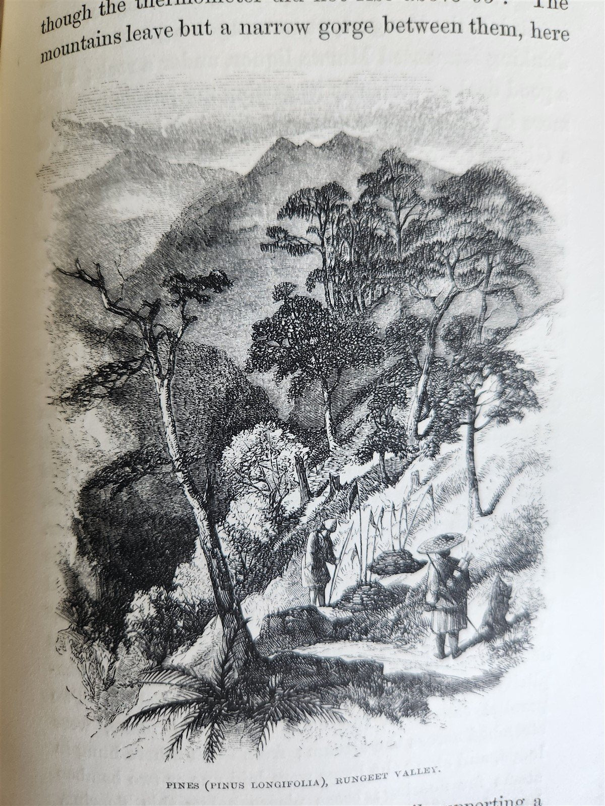 1855 HIMALAYAN JOURNALS by Joseph Hooker 2 VOLUMES antique ILLUSTRATED