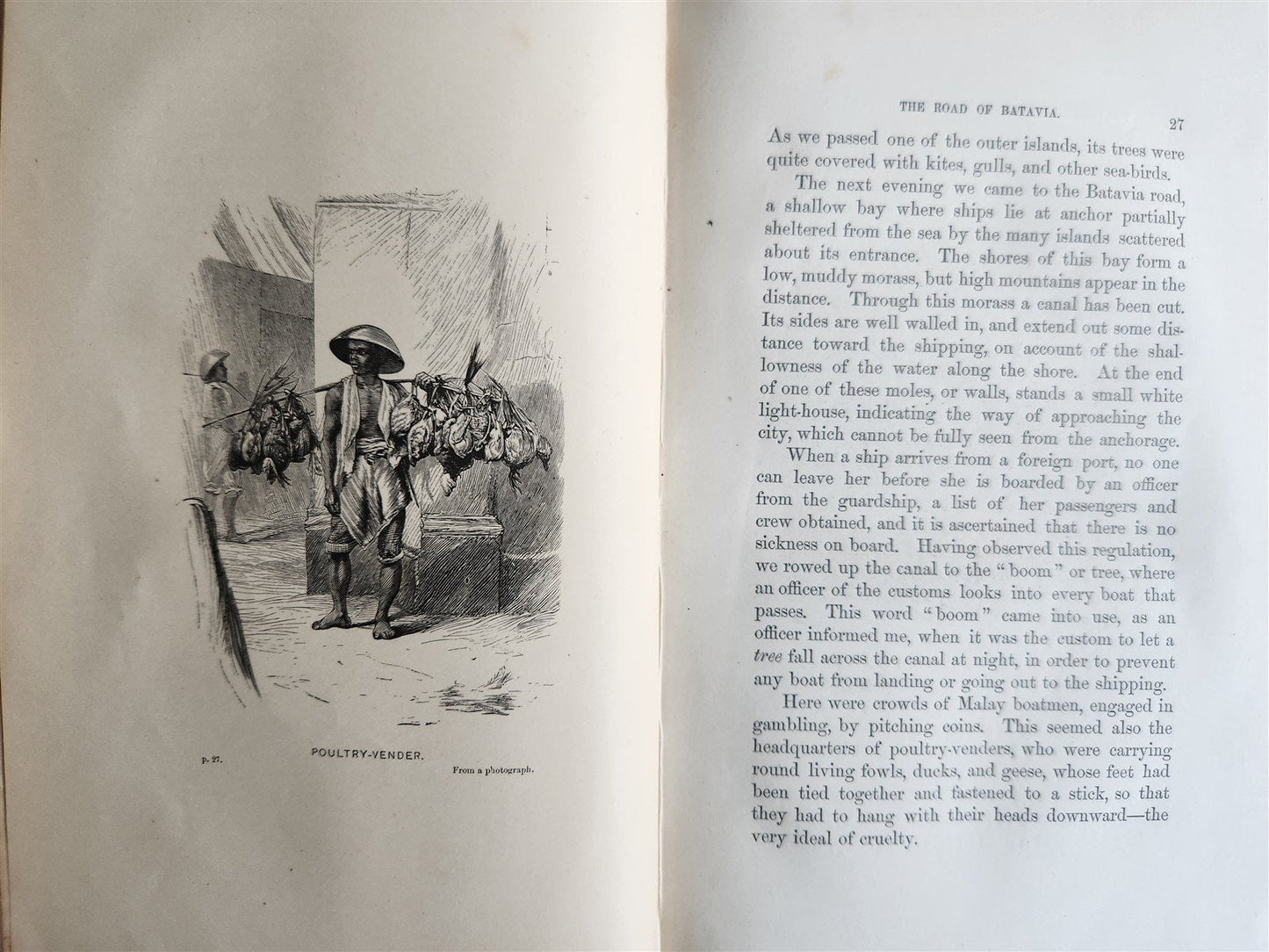 1869 TRAVELS TO EAST INDIAN ARCHIPELAGO antique ILLUSTRATED