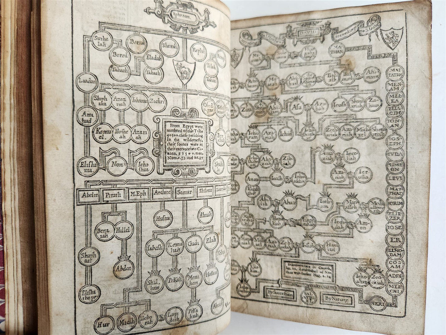 1679 BIBLE in ENGLISH antique OLD & NEW TESTAMENT ORIGINAL BINDING 17th CENTURY