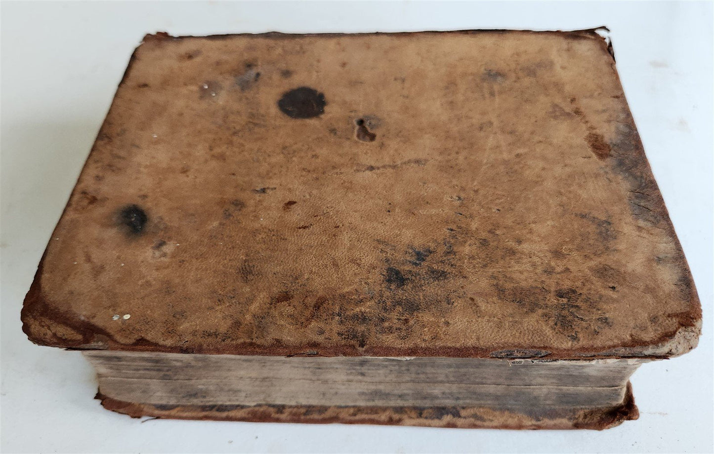 1630 BIBLE in ENGLISH antique 17th CENTURY original binding