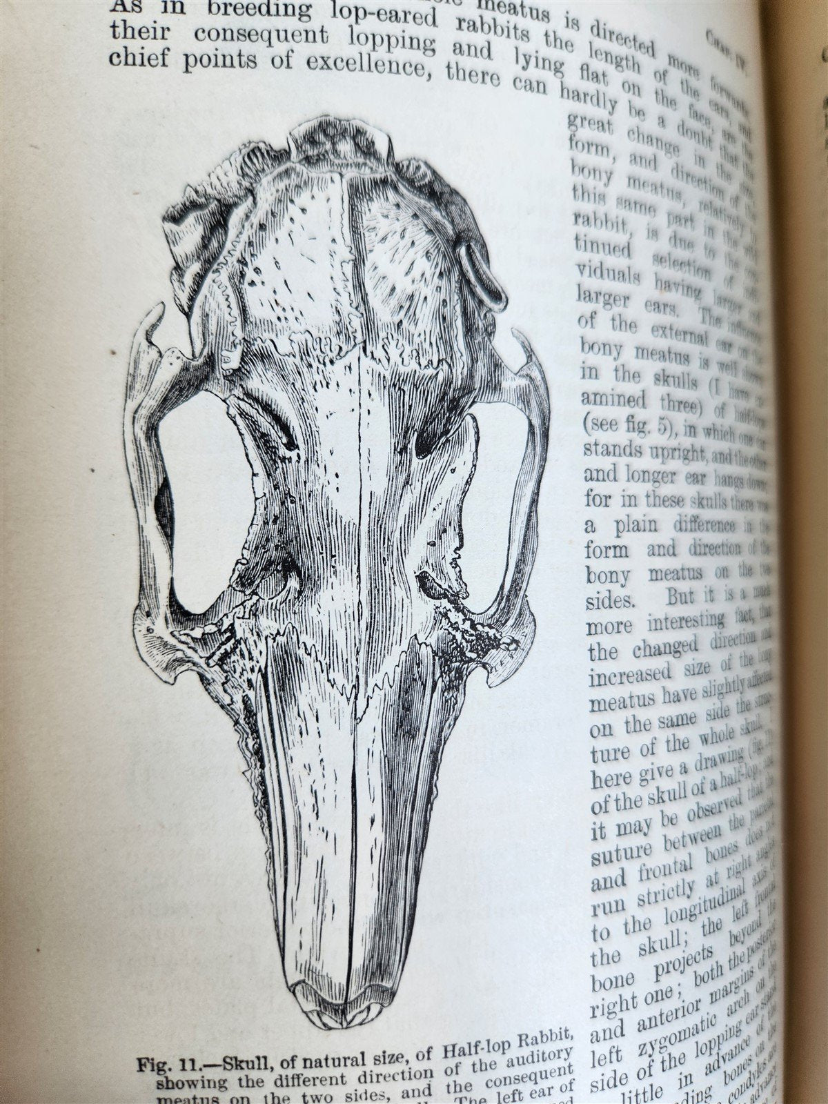 1876 CHARLES DARWIN VARIATION of ANIMALS & PLANTS antique 2 VOLUMES 2nd US ed.