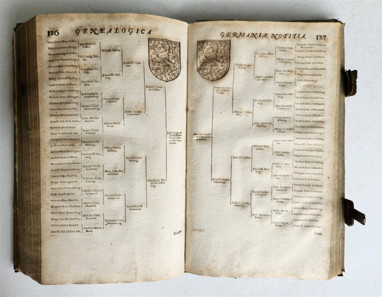 1655 GERMAN GENEALOGY illustrated PIGSKIN BOUND FOLIO antique 17th CENTURY LATIN