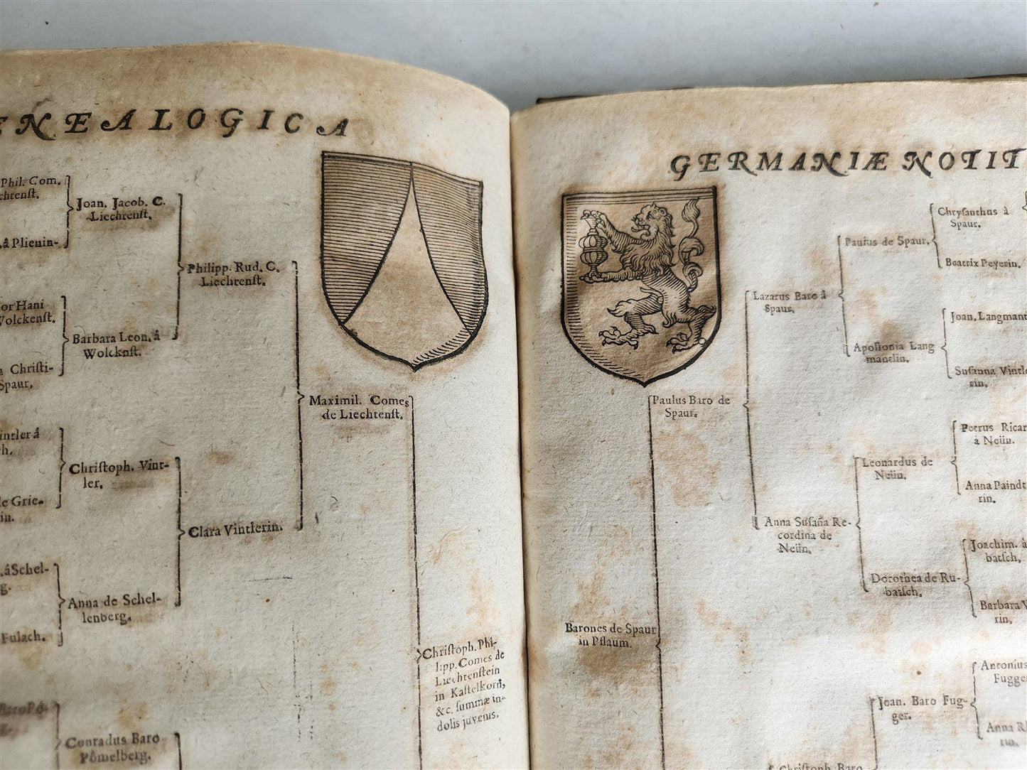 1655 GERMAN GENEALOGY illustrated PIGSKIN BOUND FOLIO antique 17th CENTURY LATIN