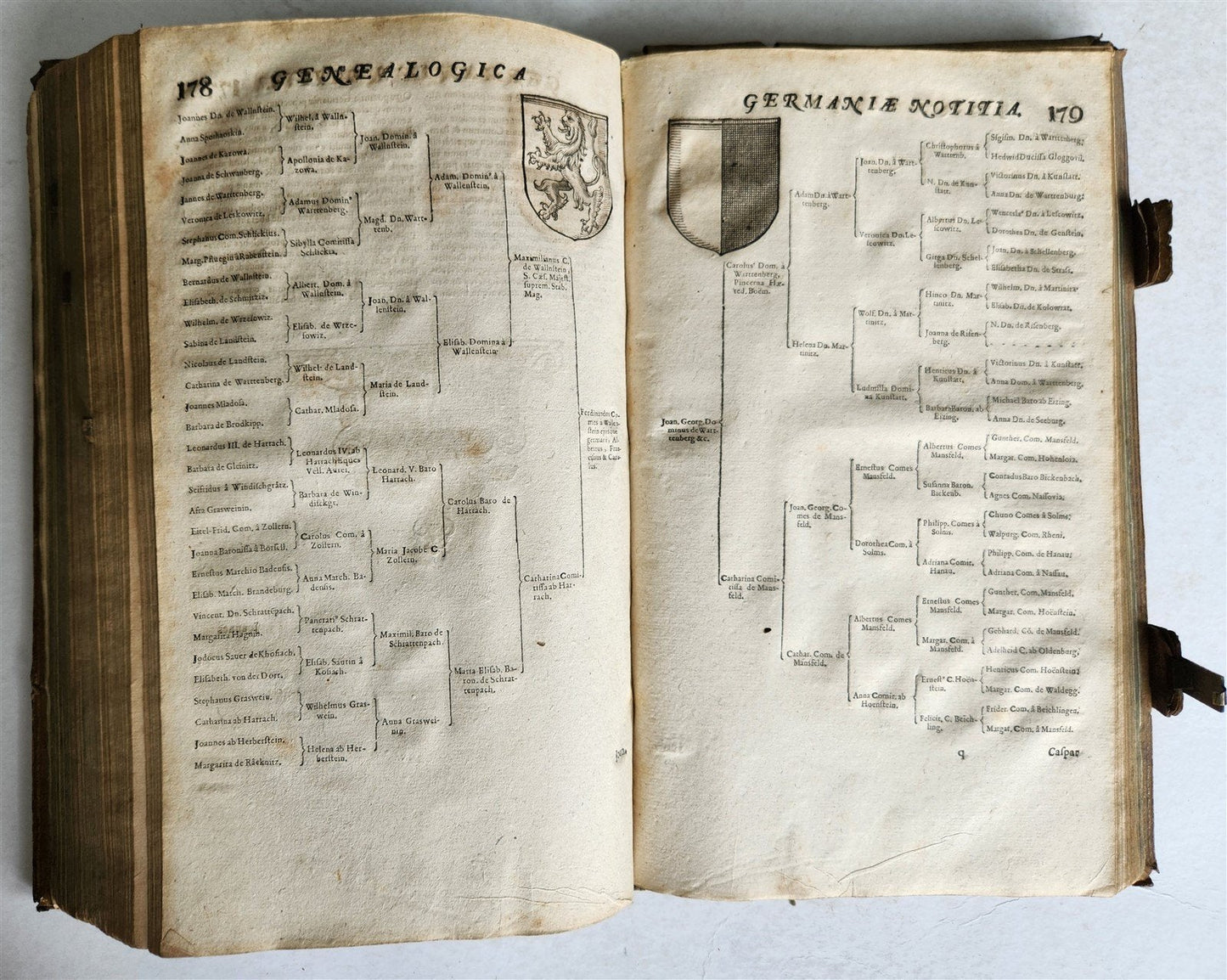 1655 GERMAN GENEALOGY illustrated PIGSKIN BOUND FOLIO antique 17th CENTURY LATIN