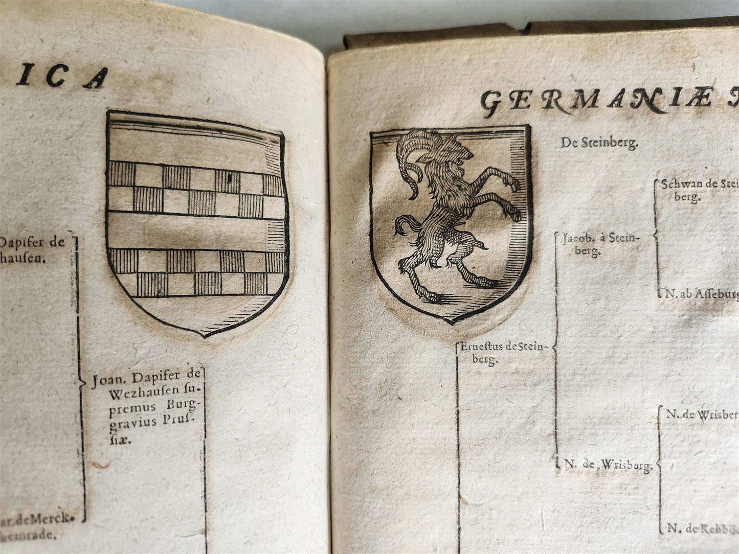 1655 GERMAN GENEALOGY illustrated PIGSKIN BOUND FOLIO antique 17th CENTURY LATIN