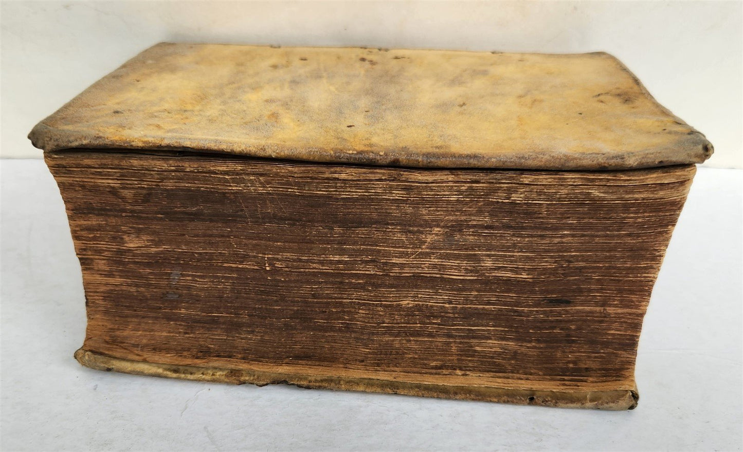 1612 TACITUS Opera Latina cum versione Germanica antique 17th CENTURY